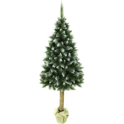 Kerstboom op een stam 220 cm spar
