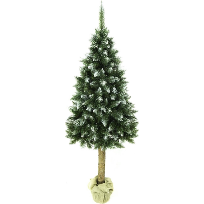 Kerstboom op een stam 220 cm spar