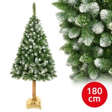 Kerstboom op een Verhoging 180 cm dennen