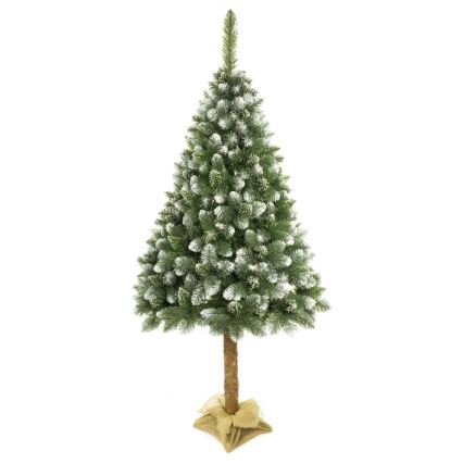 Kerstboom op een Verhoging 180 cm dennen