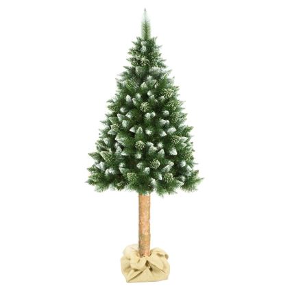 Kerstboom op een verhoging 180 cm dennenboom