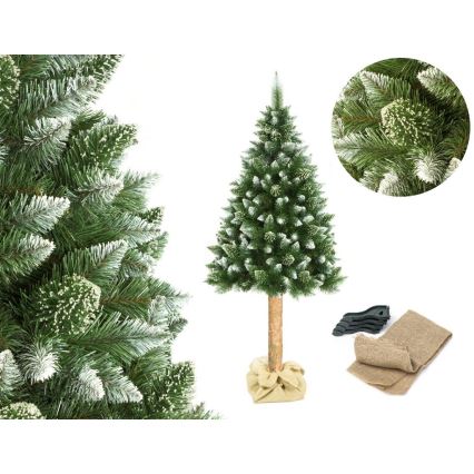 Kerstboom op stam 180 cm den