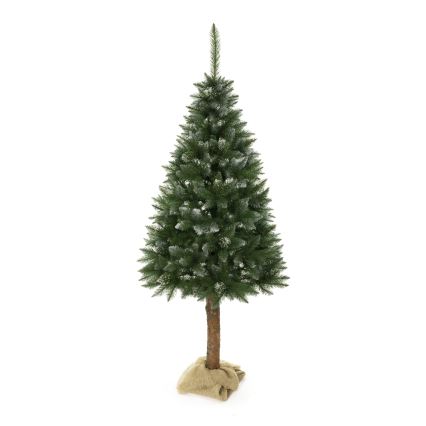 Kerstboom op stam 180 cm spar