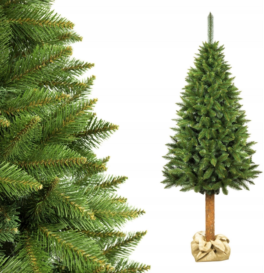 Kerstboom op stam, 220 cm, spar