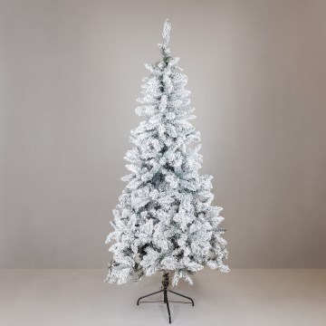 Kerstboom SCOTLAND 210 cm (spar)