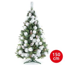 Kerstboom spar XMAS TREES 150 cm