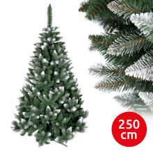 Kerstboom TEM I 250 cm dennen