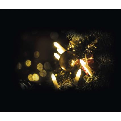 Kerstverlichting buiten XMAS 7m 20xLED IP44