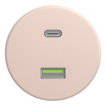 Kliklap - Retro USB-stopcontact A+C zonder afdekraam, oudroze