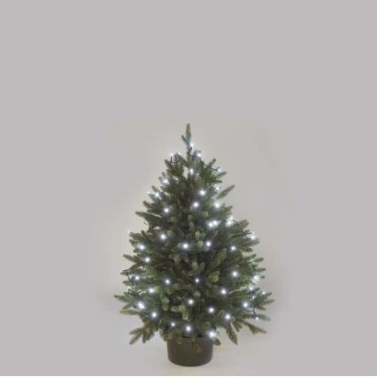 Koel Wit LED Kerst buitenketting 40x LED / 9m IP44