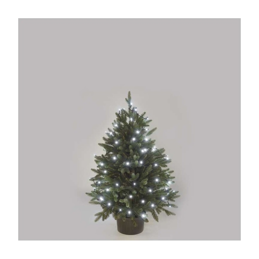 Koel Wit LED Kerst buitenketting 40x LED / 9m IP44