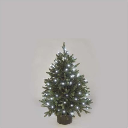 Koel Wit LED Kerst buitenketting 80x LED / 13m IP44