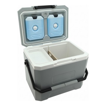 Koelbox met koelelement, 16 l, grijs