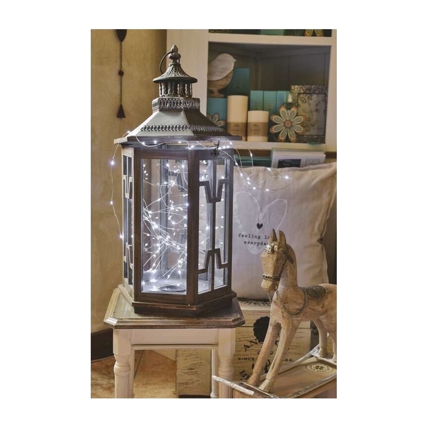 Koelwit LED Kerst buitenketting 40x LED / 9m IP44