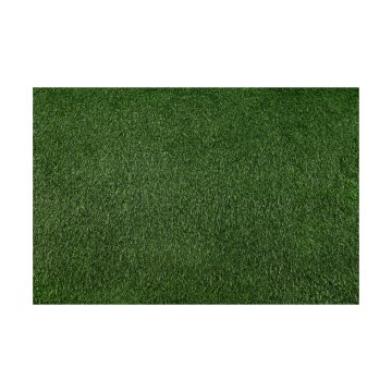 Kunstgras BELLIN 200x400 cm, 18 mm, groen