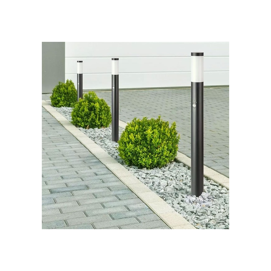 Lamp met Sensor voor Buiten 1xE27/60W/230V IP44 80cm zwart