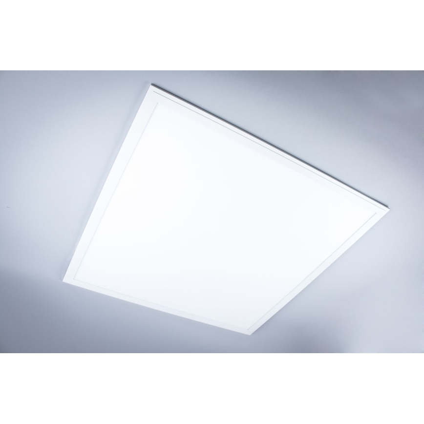 LED bevestigd lichtpaneel badkamer LED/40W/230V 4000K 59,5x59,5 cm IP65 wit