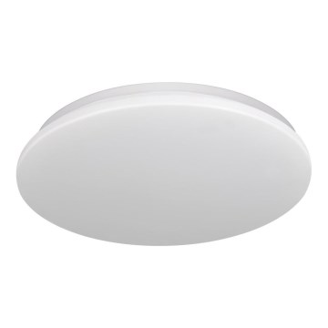 LED Badkamer plafondlamp ADAR LED/17W/230V IP44 4000K