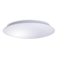 LED Badkamer plafondlamp AVESTA LED/18W/230V 4000K IP54