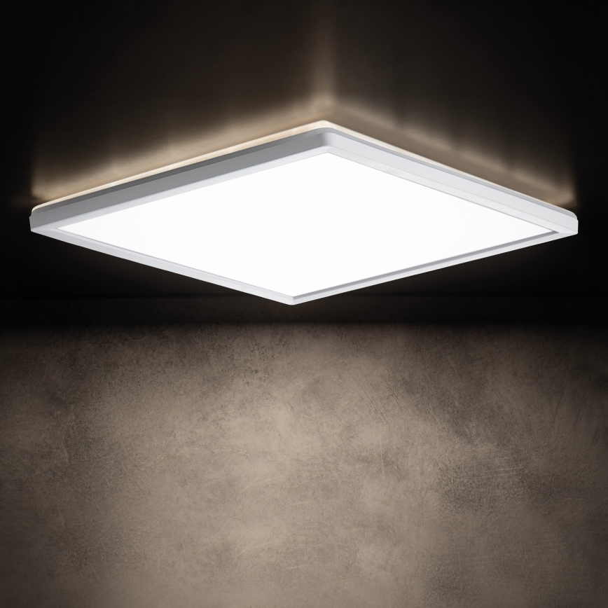 LED Badkamer plafondlamp AZPO LED/12,3W/230V IP54 wit