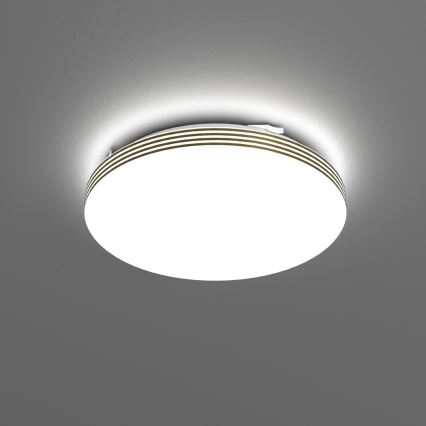 LED Badkamer plafondlamp BEVER LED/10W/230V 4000K diameter 26 cm IP44