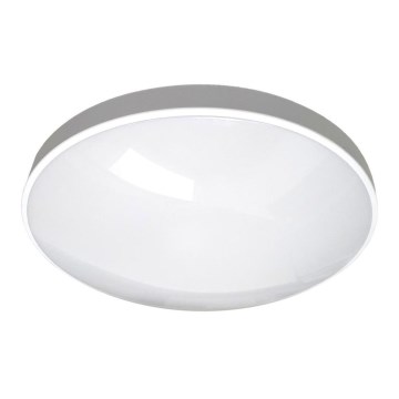 LED Badkamer plafondlamp CIRCLE LED/12W/230V 4000K diameter 25 cm IP44 wit