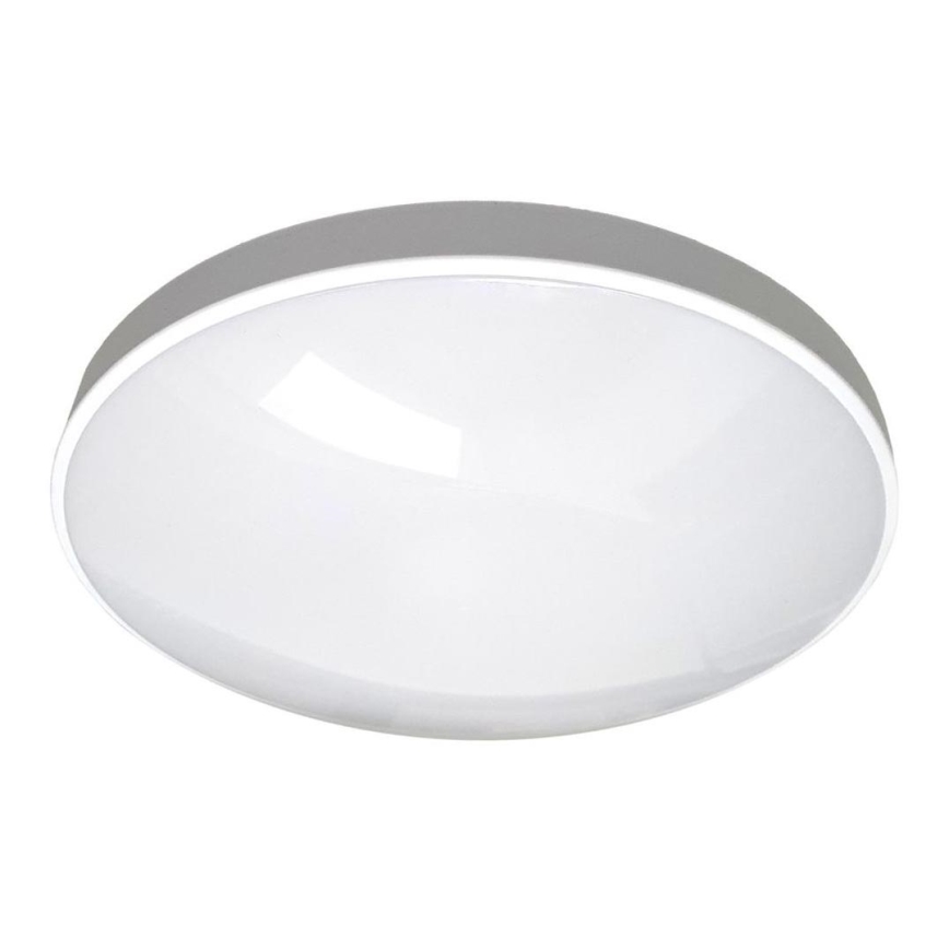 LED Badkamer plafondlamp CIRCLE LED/12W/230V 4000K diameter 25 cm IP44 wit