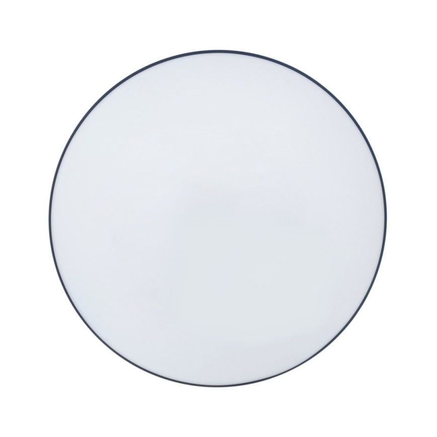 LED Badkamer plafondlamp CIRCLE LED/12W/230V 4000K diameter 25 cm IP44 zwart