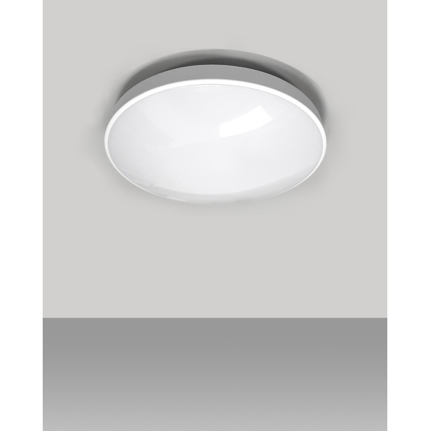 LED Badkamer plafondlamp CIRCLE LED/18W/230V 4000K diameter 30 cm IP44 wit