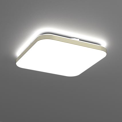 LED Badkamer plafondlamp DABAR LED/17W/230V 4000K 33x33 cm IP44