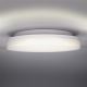 LED Badkamer plafondlamp LED / 15W / 230V IP54