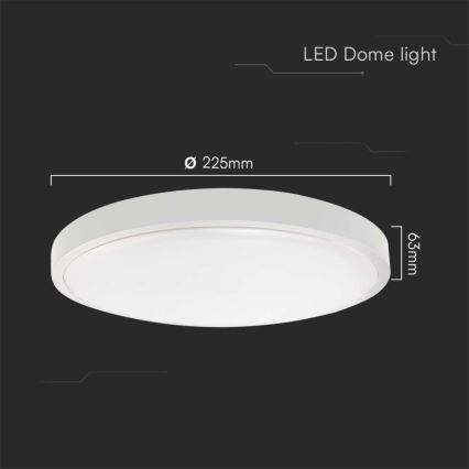 LED Badkamer plafondlamp LED/18W/230V 4000K IP44 diameter 22,5 cm wit