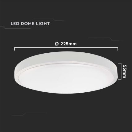 LED Badkamer plafondlamp LED/18W/230V 6500K IP44 wit