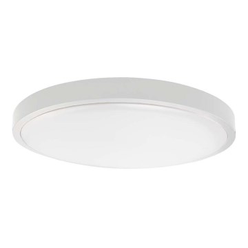 LED Badkamer plafondlamp LED/18W/230V 6500K IP44 wit