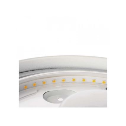 LED Badkamer plafondlamp LED/18W/230V IP44