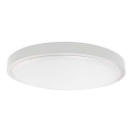 LED Badkamer plafondlamp LED/24W/230V 6500K IP44 wit