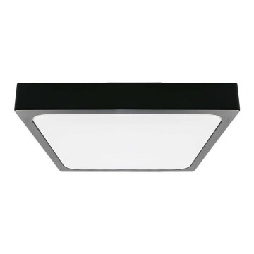 LED Badkamer plafondlamp LED/24W/230V 6500K IP44 zwart