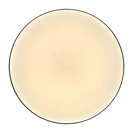 LED Badkamer plafondlamp MOON LED/18W/230V zwart IP44