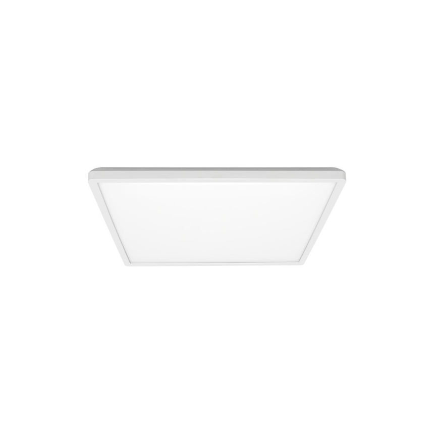 LED Badkamer plafondlamp NIVERA LED/24W/230V IP54 3000/4000/6000K 30x30 cm wit