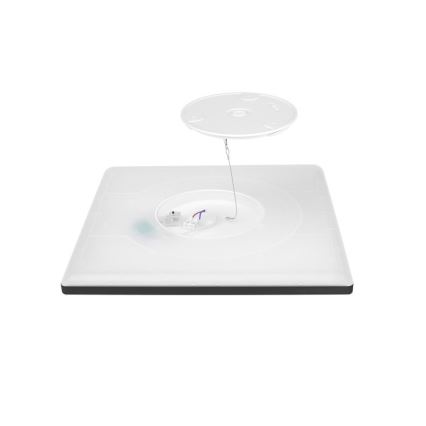 LED Badkamerlamp met bewegings- en schemersensor NIVERA LED/12W/230V IP54 3000/4000/6000K 22,5x22,5 cm zwart + afstandsbediening