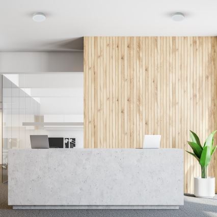 LED badkamerplafondlamp MARLON LED/12W/230V Ø 18 cm IP54 wit