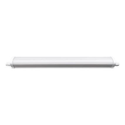 LED Bedrijfsverlichting LED/40W/180-265V IP65