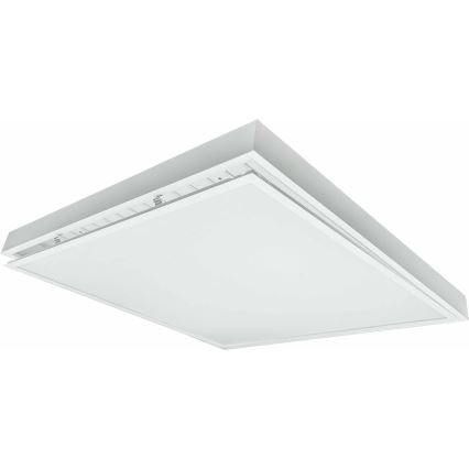 LED Bevestigd lichtpaneel ILLY LED/36W/230V