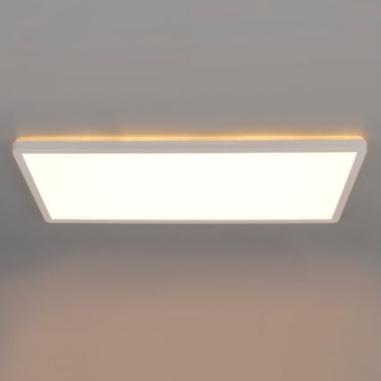 LED Bevestigd lichtpaneel NIVERA LED/32W/230V IP54 3000/4000/6000K 29,5x59,5 cm wit