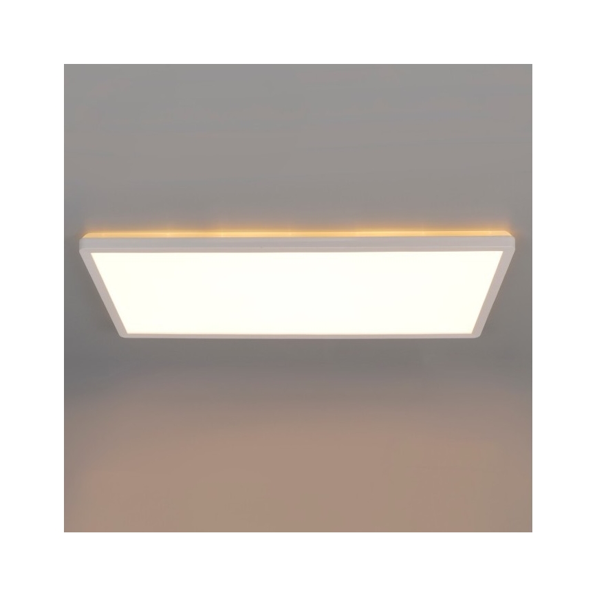 LED Bevestigd lichtpaneel NIVERA LED/32W/230V IP54 3000/4000/6000K 29,5x59,5 cm wit