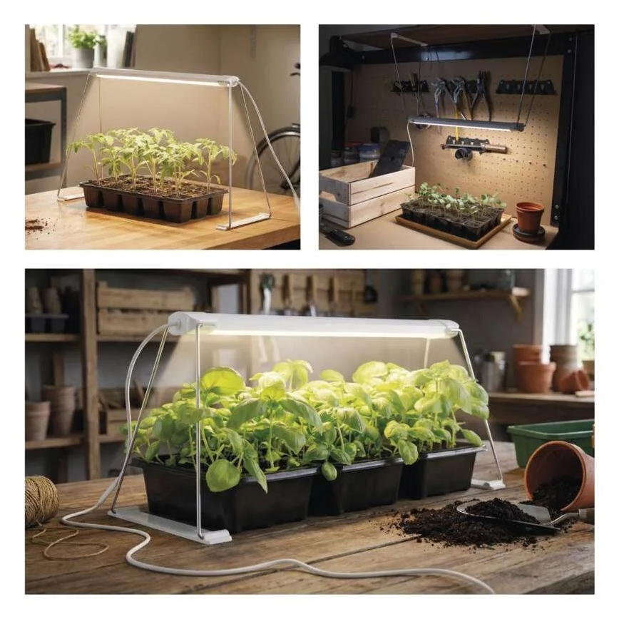 LED-binnengroeilamp voor planten GROW LED/15W/230V