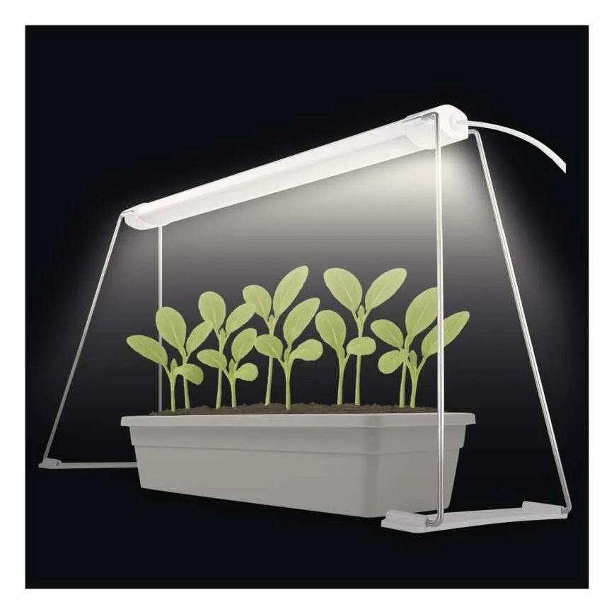 LED-binnengroeilamp voor planten GROW LED/15W/230V