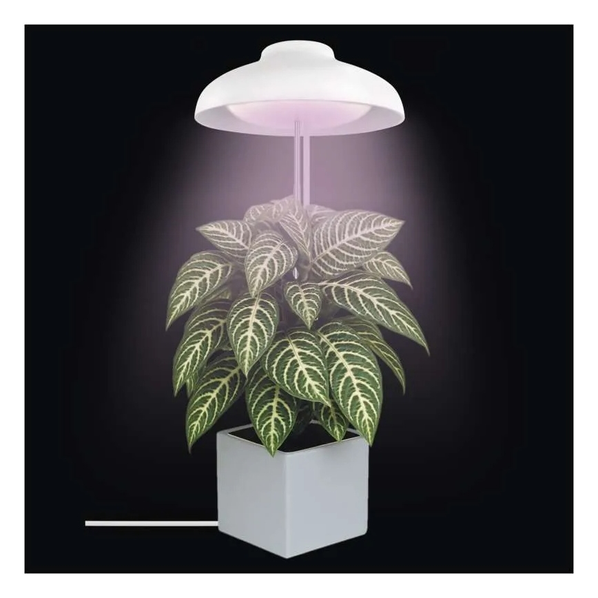 LED binnenlamp voor het kweken van planten GROW LED/5W/5V