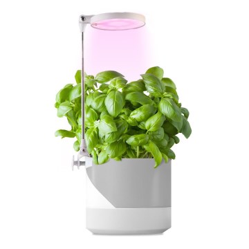 LED Binnenlamp voor het kweken van planten LED/10W/5V 3200K