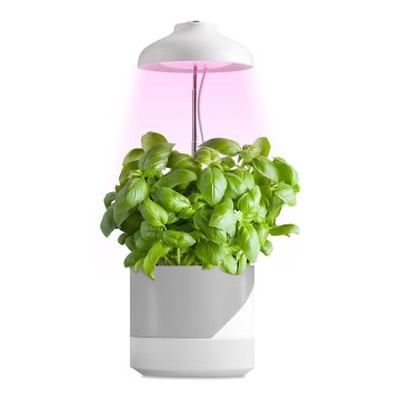 LED Binnenlamp voor het kweken van planten LED/5W/5V 3200K